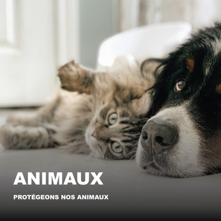 Illustration de l'actualité - cliquer pour agrandir