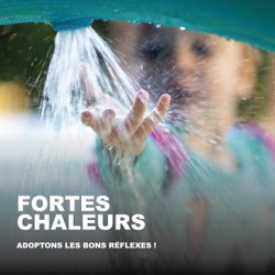 Fortes Chaleurs : adoptons les bons réflexes !