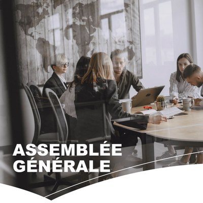 Assemblée générale extraordinaire du 19 octobre 2026 - IILE