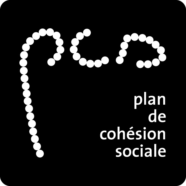 logo-PCS-nb-pos.jpg