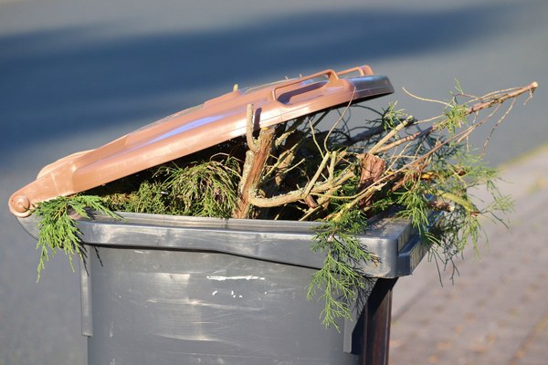 Déchets organiques